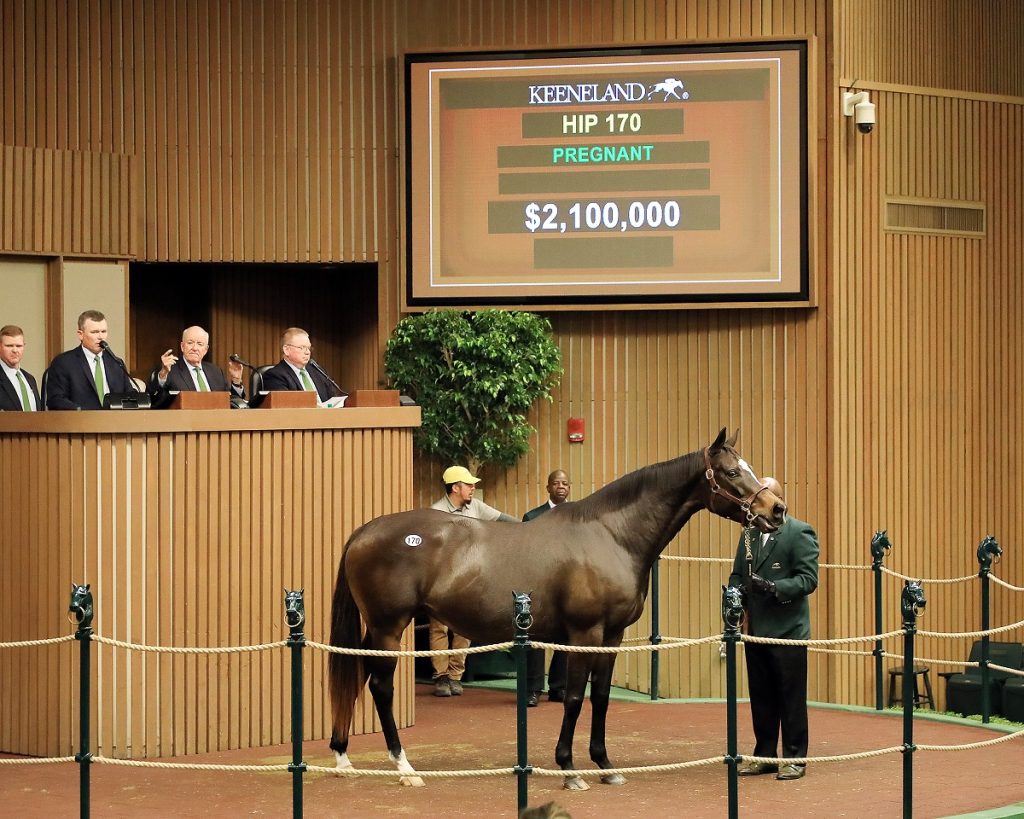 Hip 170 White Hot, 2023 Keeneland November Sale