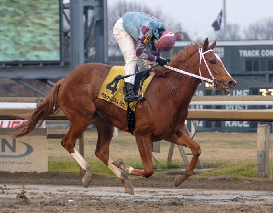 Aoife's Magic - Miss Behaviour Stakes - Credit: Equi-Photo