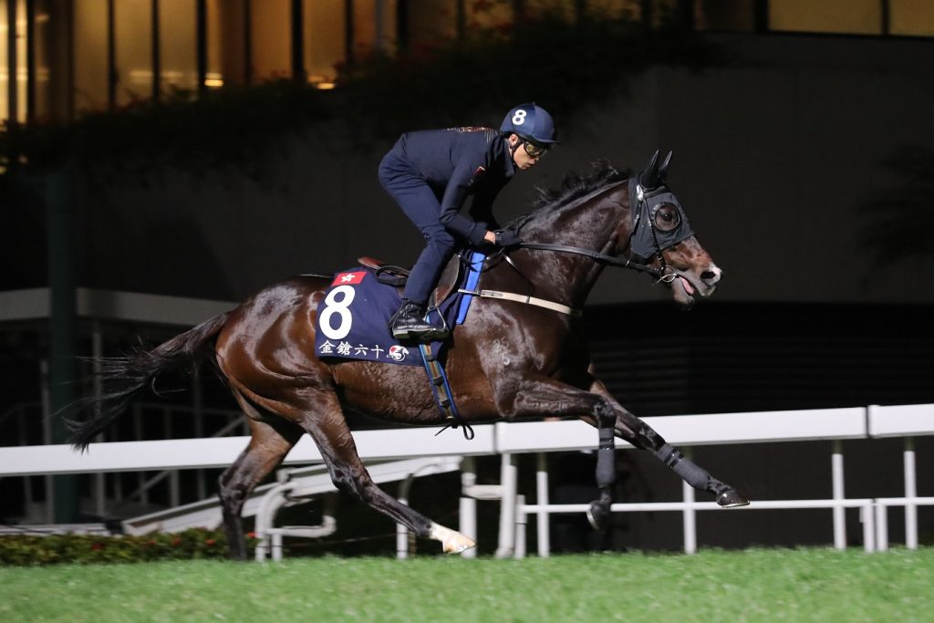 Golden Sixty - Hong Kong Jockey Club