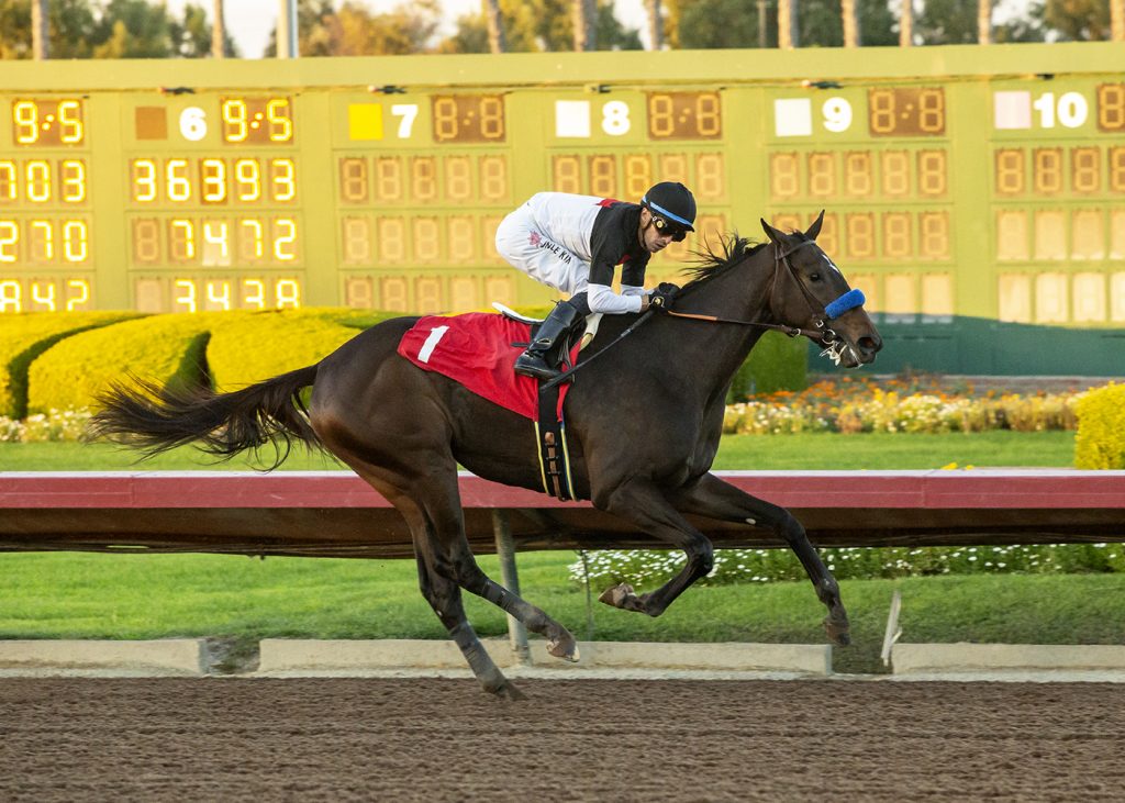 Nothing Like You - Grade II, $200,000 Starle - Los Alamitos Race Course, Cypress CA. - © BENOIT PHOTO