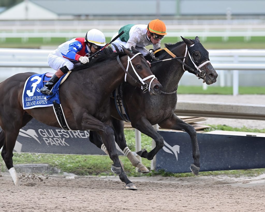 OConnor the Harlans Holiday credit Lauren King - Coglianese Photo