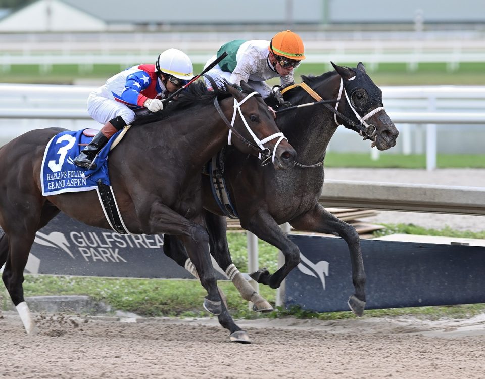 OConnor the Harlans Holiday credit Lauren King - Coglianese Photo