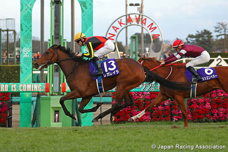 Regaleira - Hopeful S. - Japan Racing Association