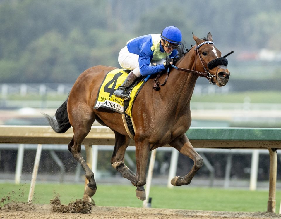 Desert Dawn - La Canada S. - Benoit Photo