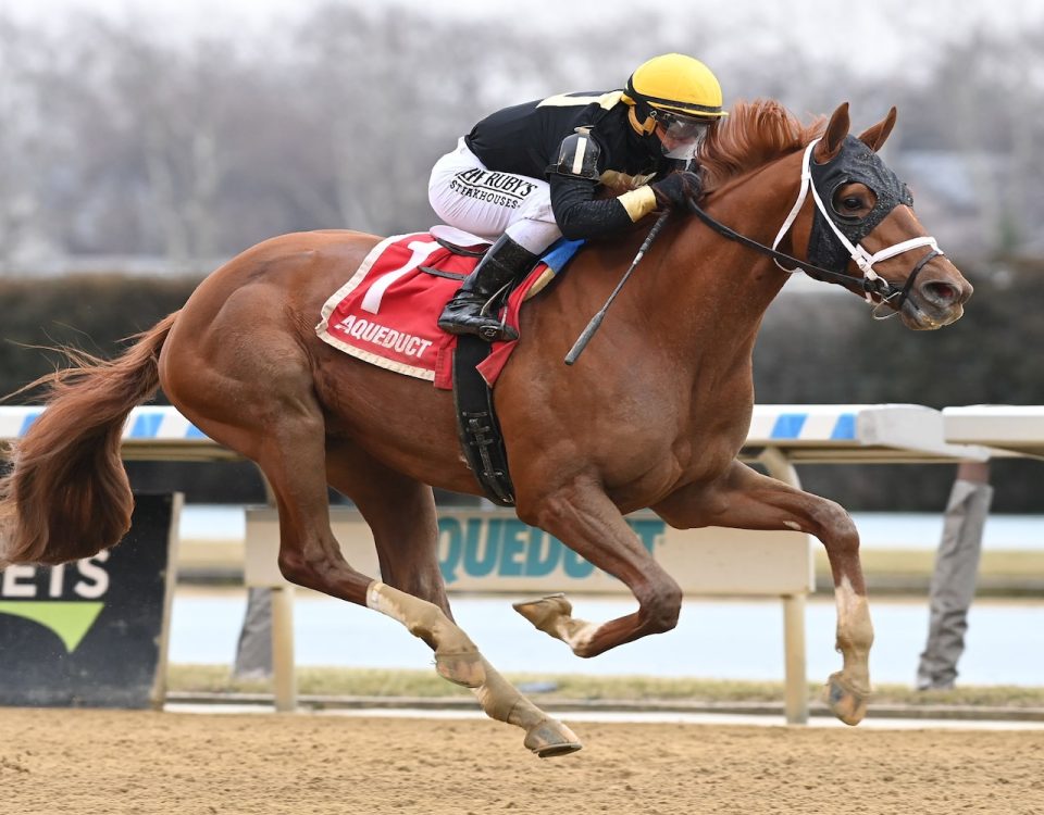 Drum Roll Please - Jerome Stakes 2024 - Coglianese Photo.