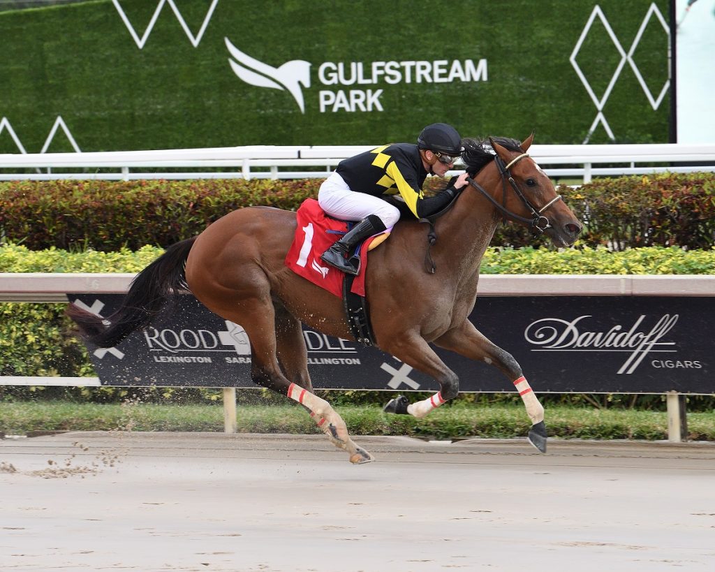 Into Champagne - The Glitter Woman Stakes - Credit Lauren King - Coglianese Photo