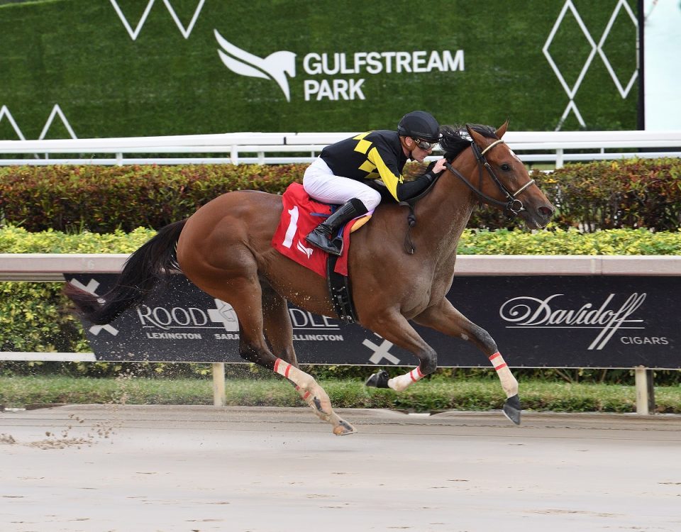 Into Champagne - The Glitter Woman Stakes - Credit Lauren King - Coglianese Photo