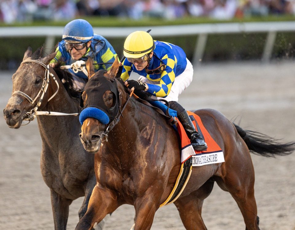 National Treasure - Pegasus World Cup - Debra A. Roma