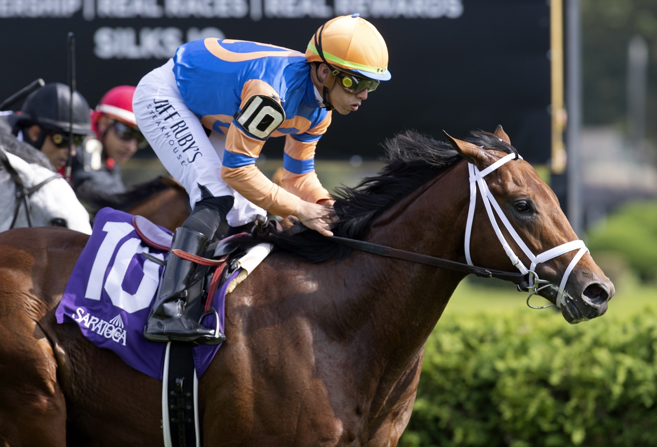 Doce potros buscan el triunfo este sábado en el Sam F. Davis Stakes