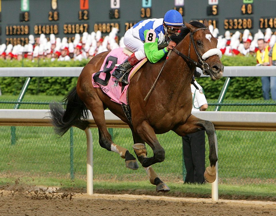 Barbaro - foto credito Barbara Livingston - Daily Racing Form