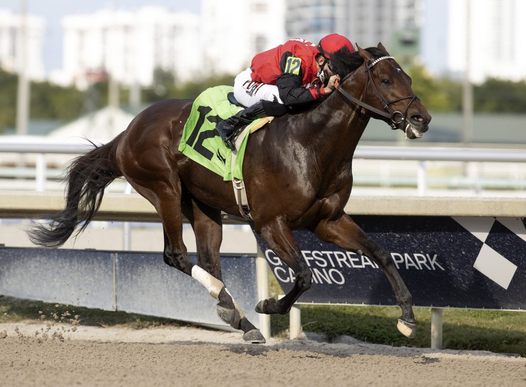 Candy Man Rocket - Barbara Livingston - Daily Racing Form