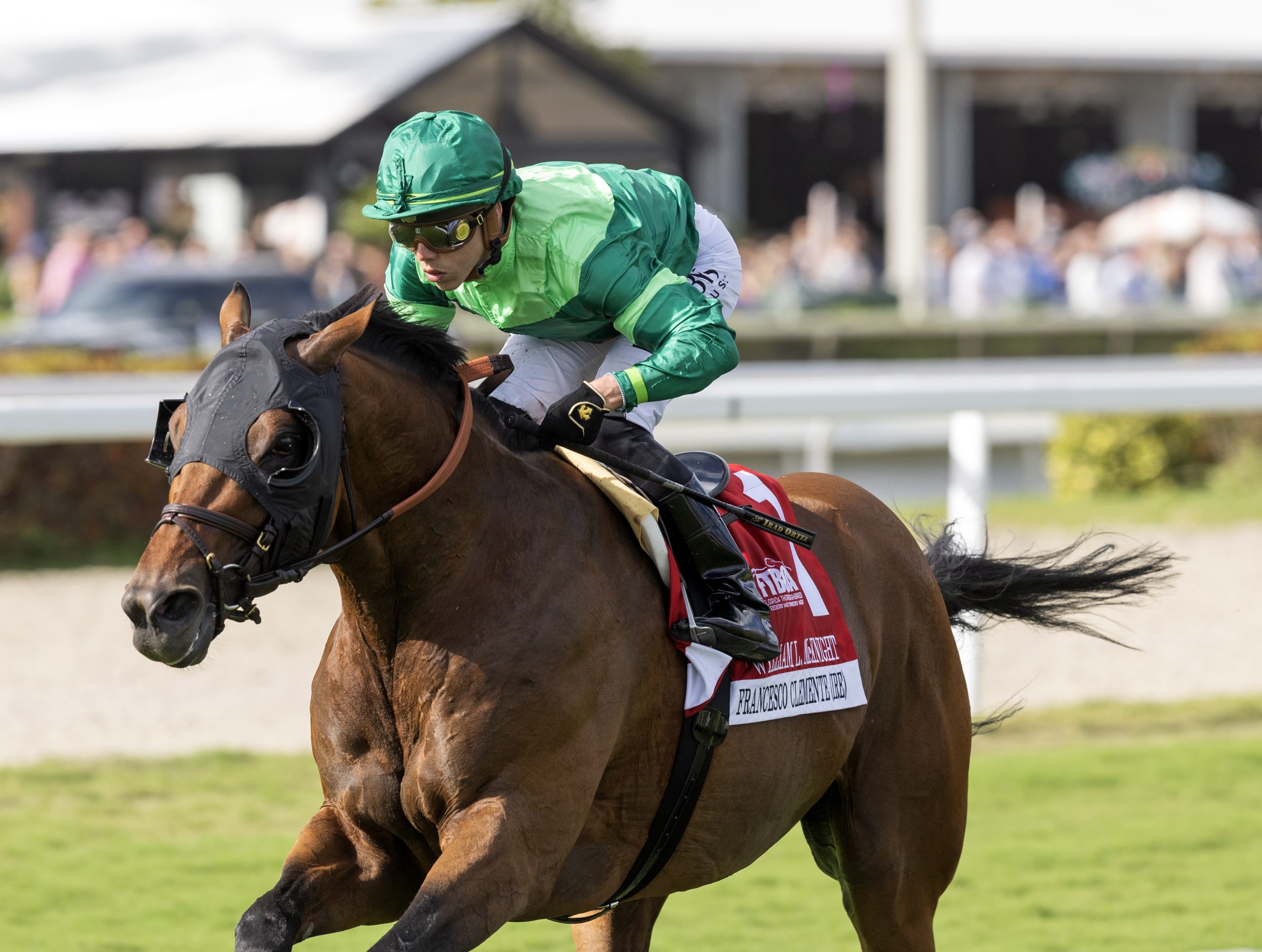Estos profesionales dominaron Gulfstream Park en enero | DRF en Español