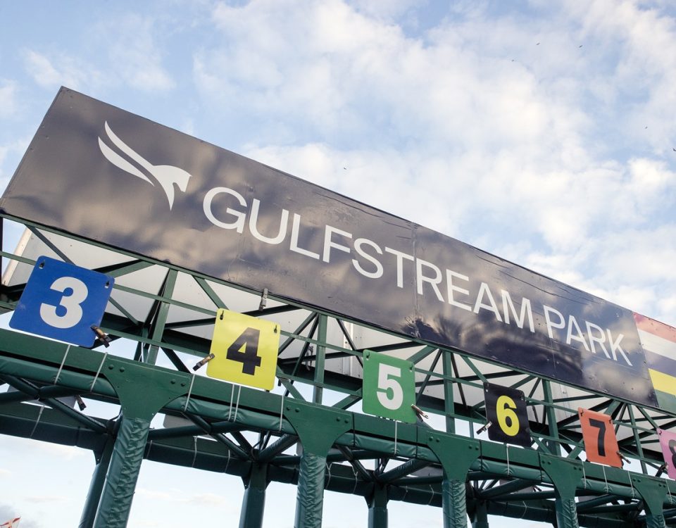 Gulfstream Park 1-27-24, Pegasus World Cup day, Barbara Livingston photo