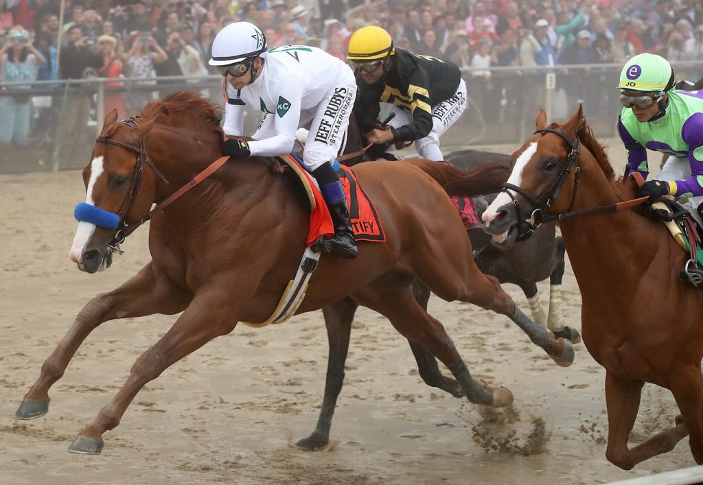 Justify - Preakness S. - Debra A. Roma