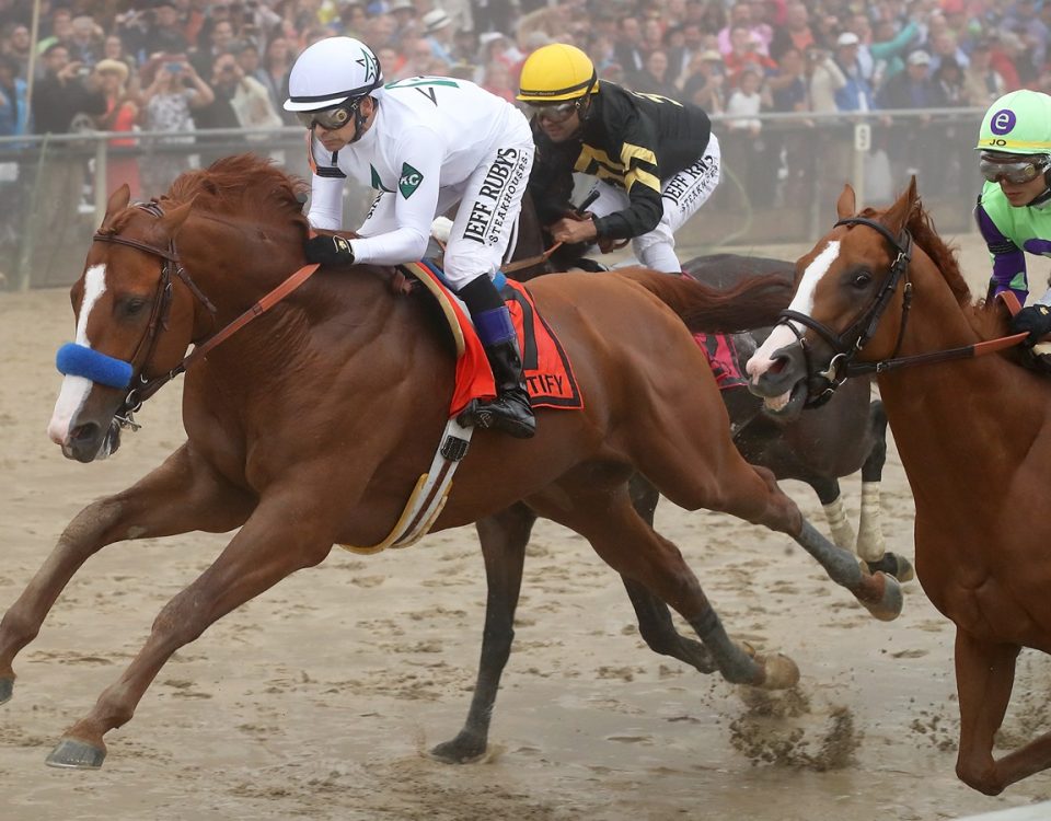 Justify - Preakness S. - Debra A. Roma