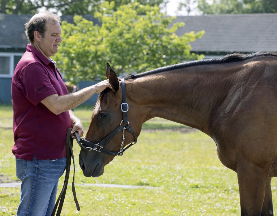 Letruska - Barbara Livingston - Daily Racing Form