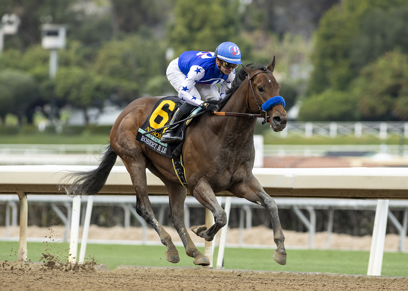 Nysos gana fácil el Robert B. Lewis Stakes y sigue invicto DRF en Español