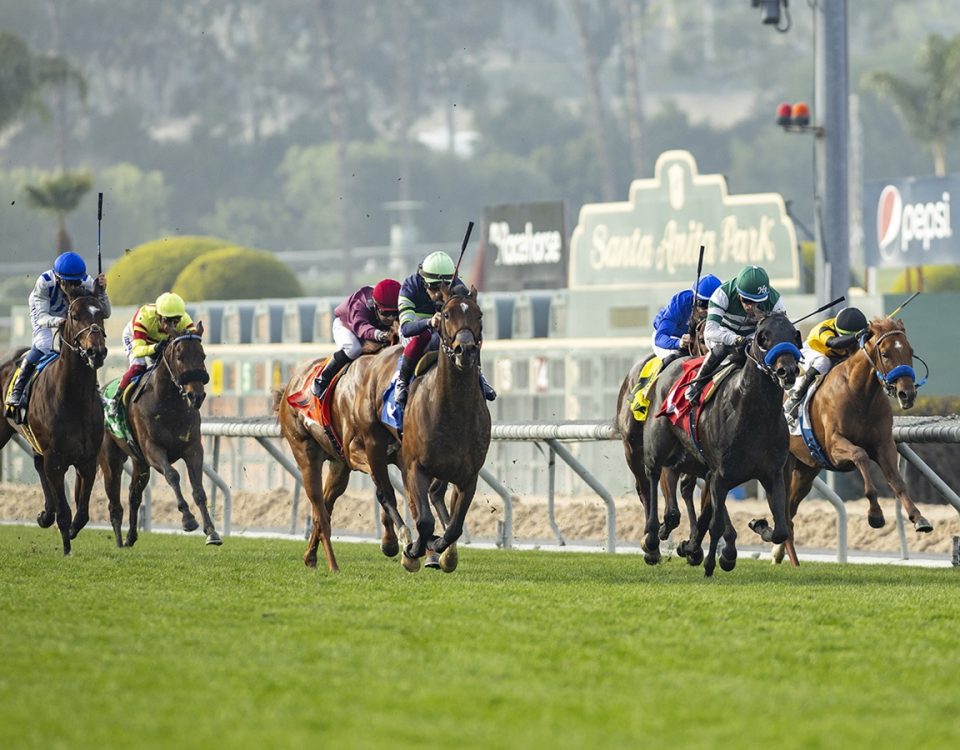 Santa Anita Park - Benoit Photo