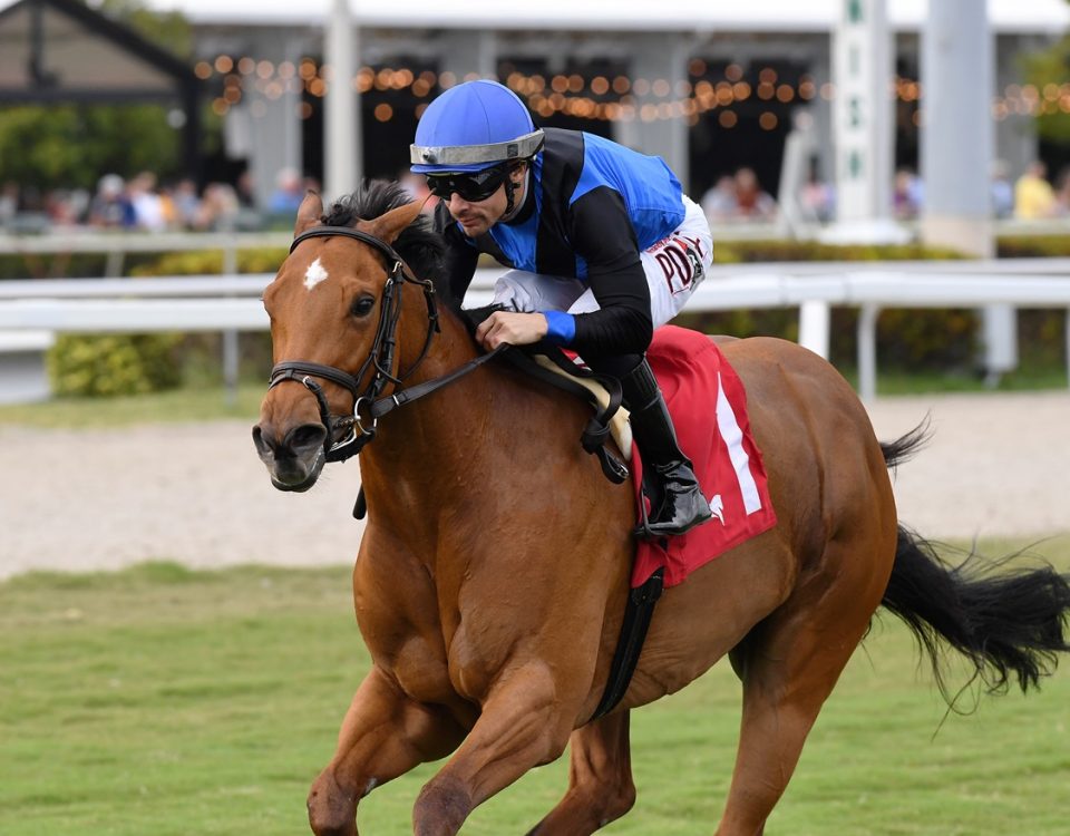 Stone Silent - Ladies Turf Sprint - Ryan Thompson