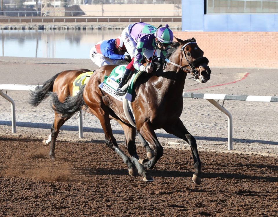 Stronghold - Sunland Derby - Coady Photography