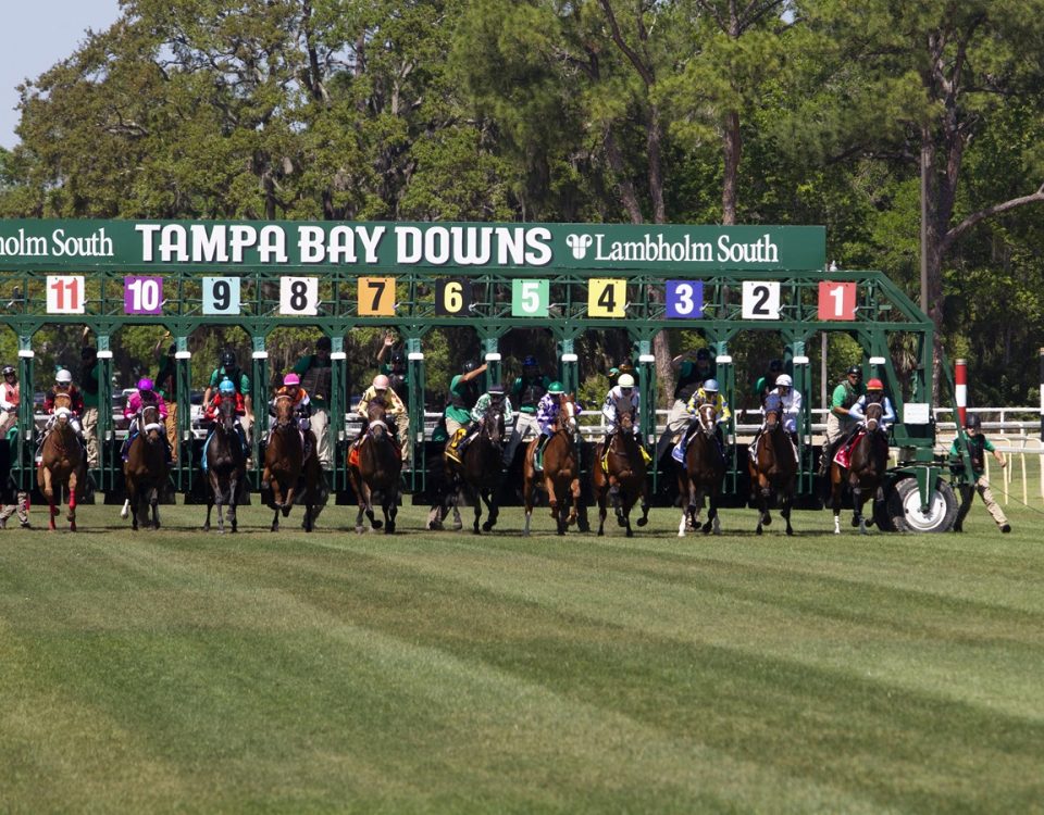 Tampa Bay Downs - Action - Tom Keyser