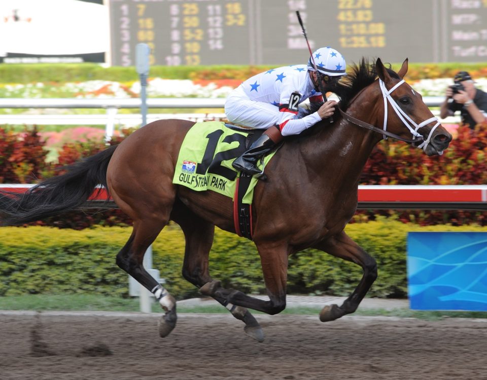 Big Brown - Florida Derby - Coglianese Photo