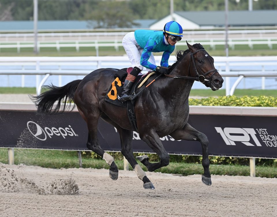 Conquest Warrior - Lauren King - Coglianese Photo