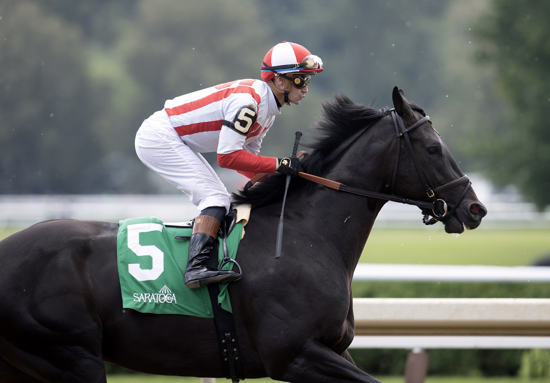 DERBYSCOPIO XVI. Marzo 4, 2024 | DRF en Español