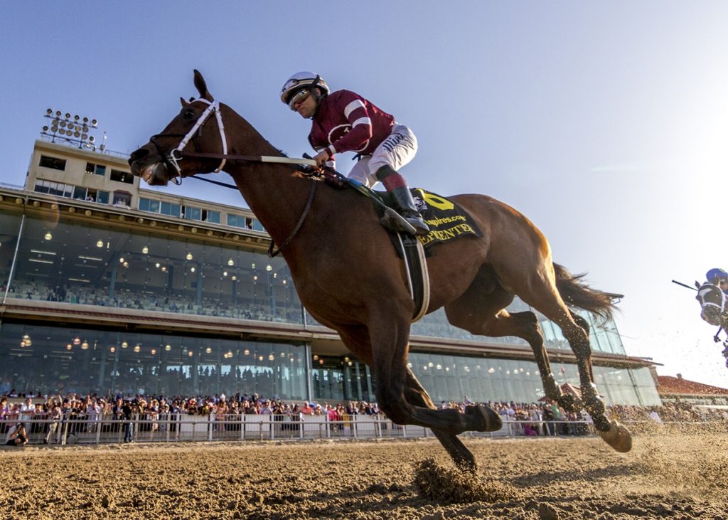 Epicenter - Louisiana Derby - Amanda Hodges Weir