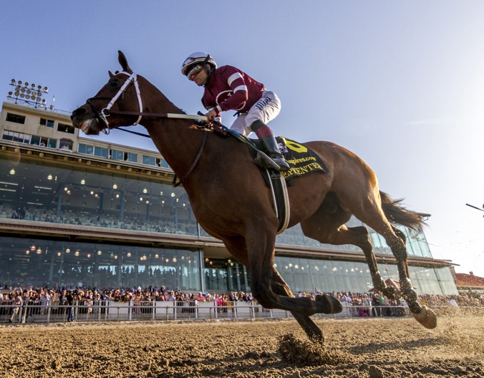 Epicenter - Louisiana Derby - Amanda Hodges Weir