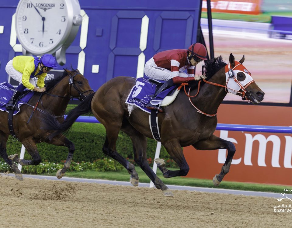Forever Young - UAE Derby - Dubai Racing Media Photo
