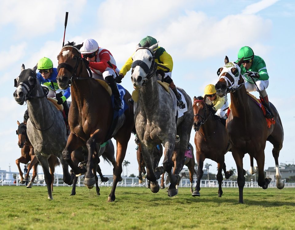 Gulfstream Park - Turf Action - Ryan Thompson