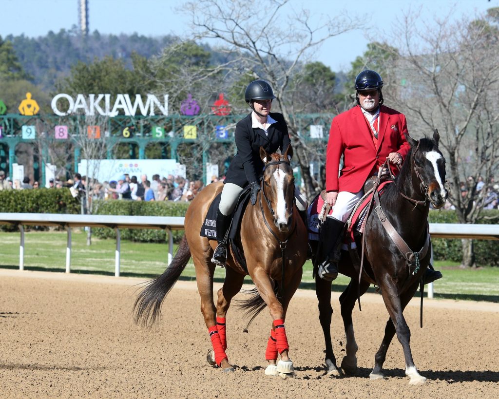 Whitmore desfilando en Oaklawn Park antes del Whitmore Stakes - Foto credito Coady Photo