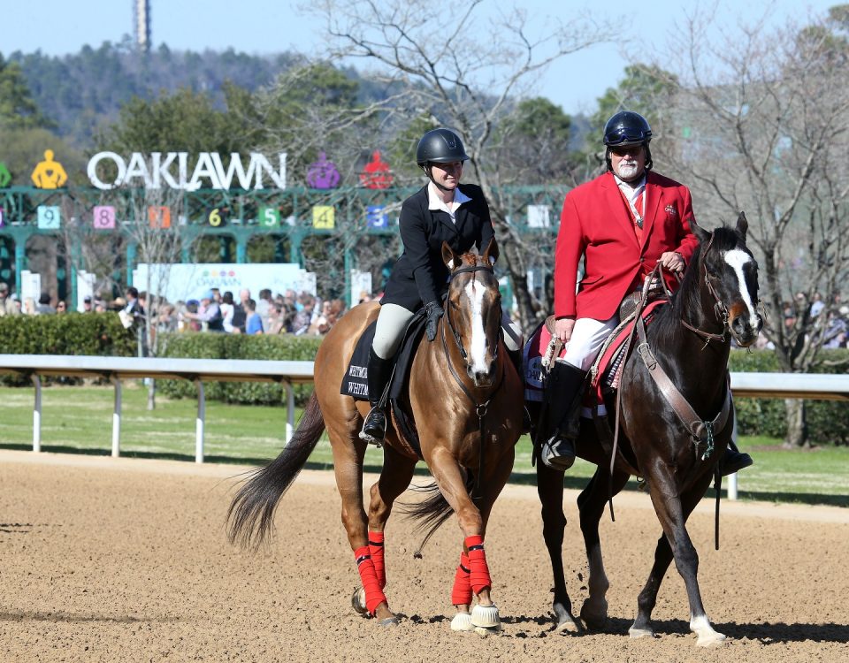 Whitmore desfilando en Oaklawn Park antes del Whitmore Stakes - Foto credito Coady Photo