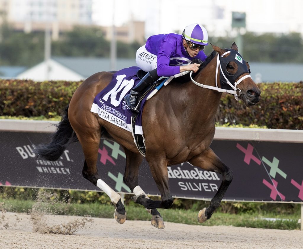 Olivia Darling - Gulfstream Park - Barbara D. Livingston