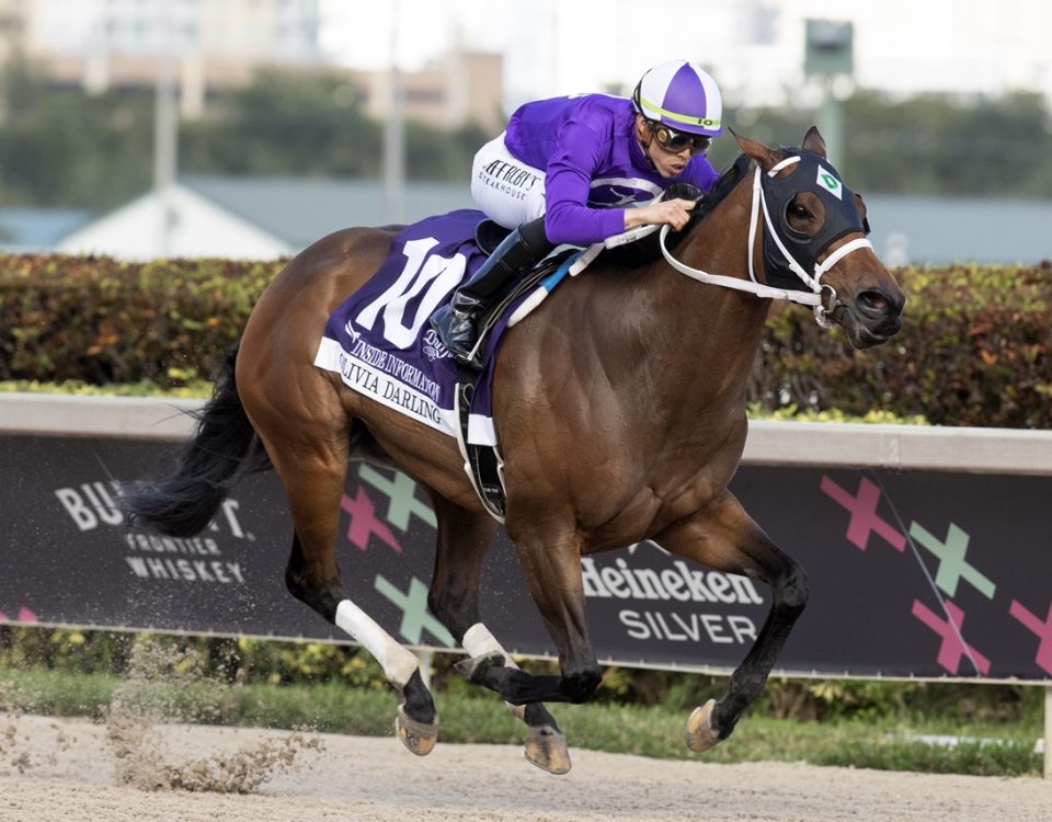 Olivia Darling - Gulfstream Park - Barbara D. Livingston