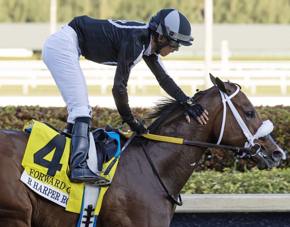 R Harper Rose - Gulfstream Park - Barbara D. Livingston