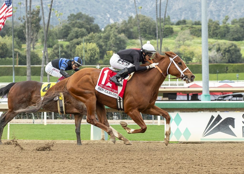 The Chosen Vron - San Carlos S. - Benoit Photo