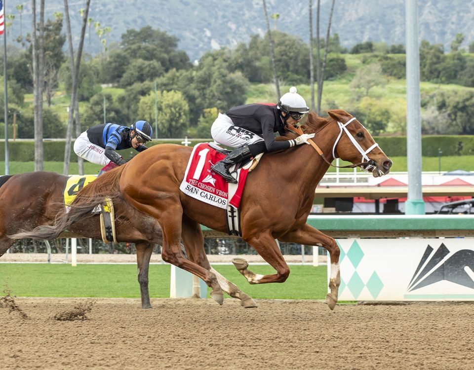 The Chosen Vron - San Carlos S. - Benoit Photo