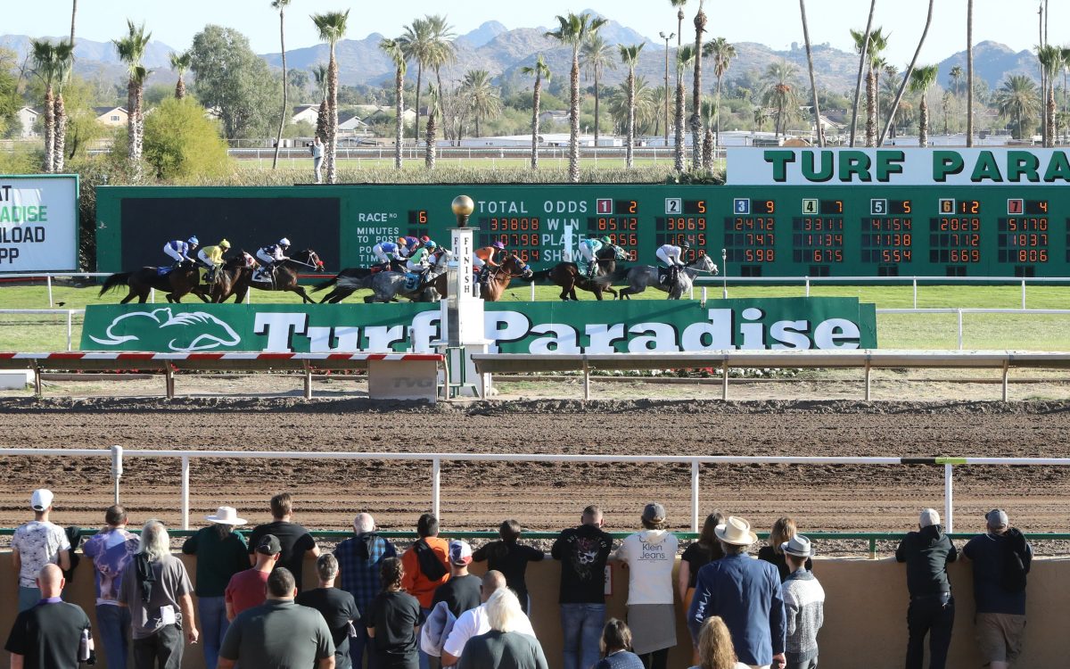 Turf Paradise Scenic - Coady Photo