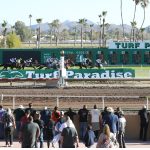 Turf Paradise Scenic - Coady Photo