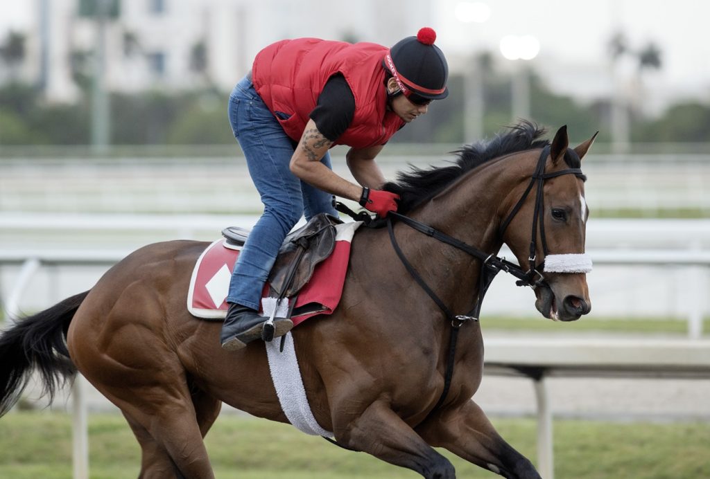 El Lexington Stakes baja el telón del Camino al Kentucky Derby DRF en