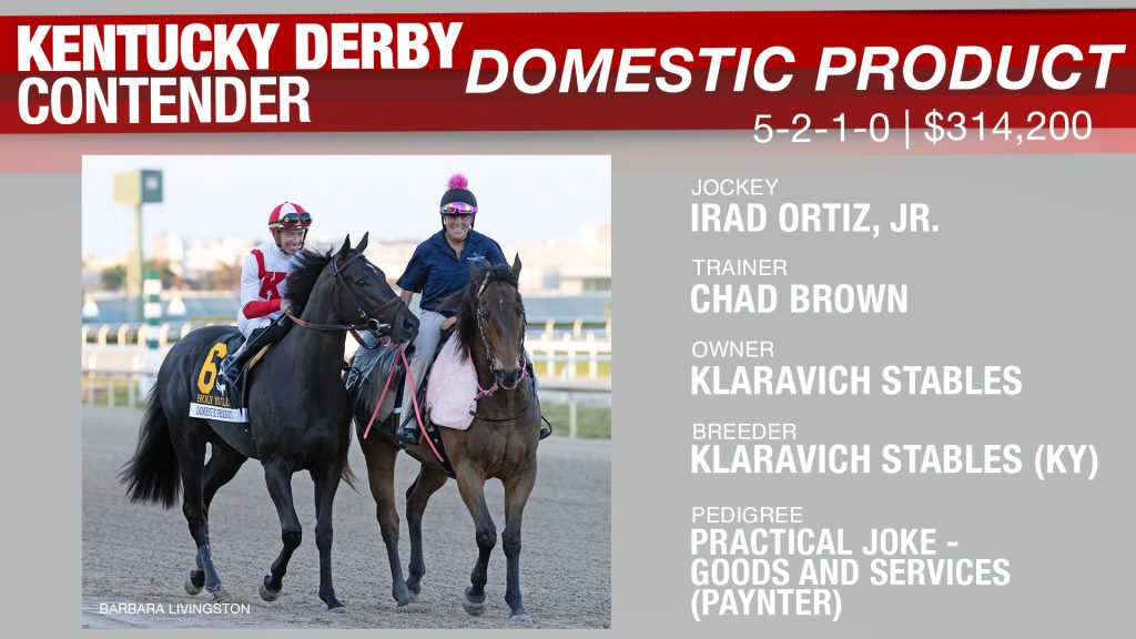 KD Contender Horse - Domestic Product - Daily Racing Form