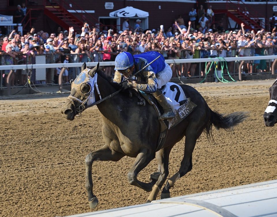 Wet Paint - Saratoga - Coglianese Photo