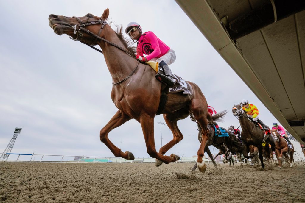 Paramount Prince - Woodbine - Michael Burns foto