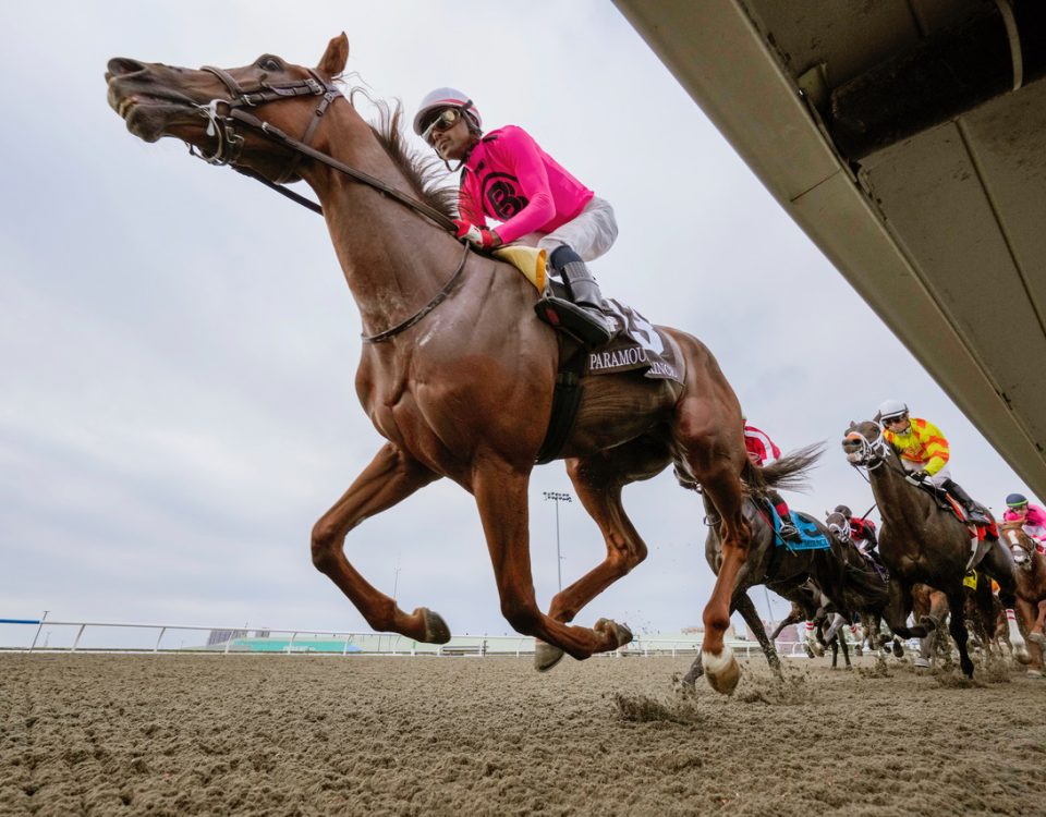 Paramount Prince - Woodbine - Michael Burns foto