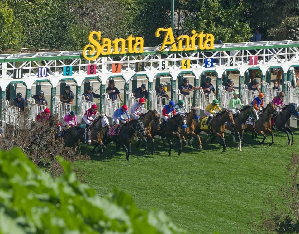 Santa Anita Park - Turf Start - Barbara D. Livingston