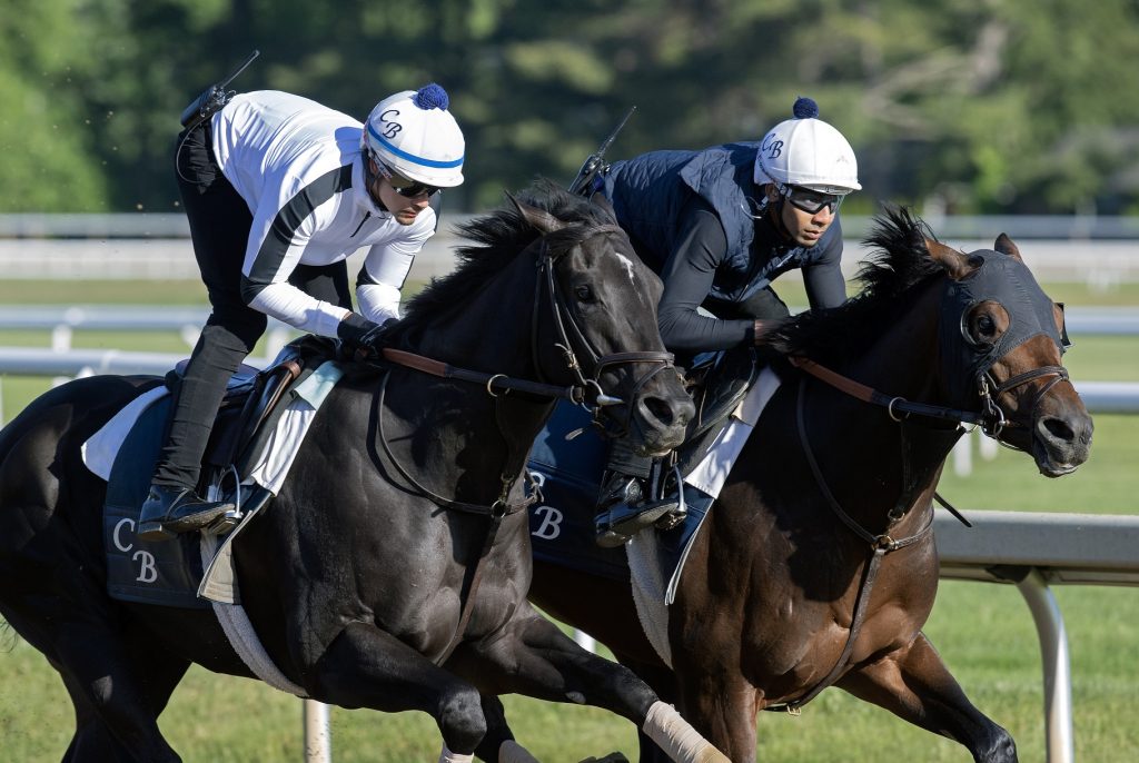 Sierra Leone -parte interna - en Saratoga - Barbara Livingston - Daily Racing Form