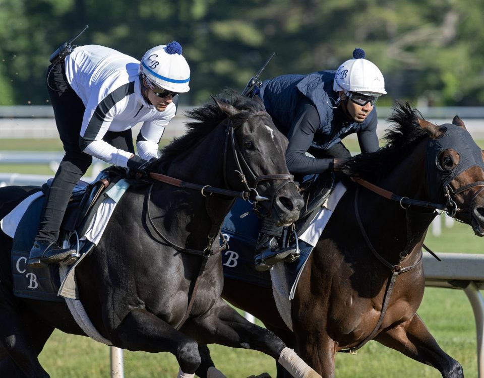 Sierra Leone -parte interna - en Saratoga - Barbara Livingston - Daily Racing Form