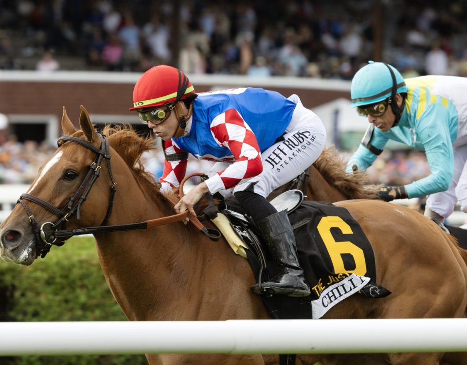 Chili Flag - Irad Ortiz Jr. - Debra A. Roma